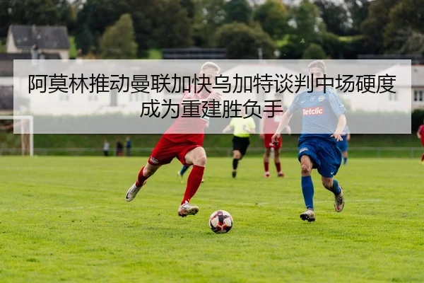 阿莫林推动曼联加快乌加特谈判中场硬度成为重建胜负手
